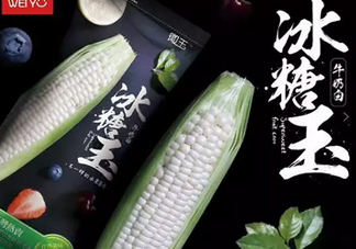 冰糖玉米?是轉(zhuǎn)基因嗎？冰糖玉米多少錢一斤？