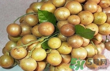 山黃皮怎么做好吃？山黃皮有什么藥用價(jià)值