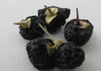 黑枸杞可以和菊花一起喝嗎？菊花和黑枸杞一起喝好嗎