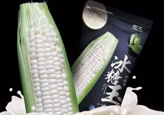 微玉冰糖玉米可以生吃嗎？微玉冰糖玉米安全嗎？
