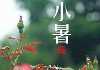 小暑種什么菜？小暑為什么要種牽牛花？