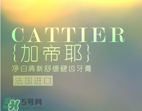 cattier加帝耶是什么牌子？法國cattier什么檔次？