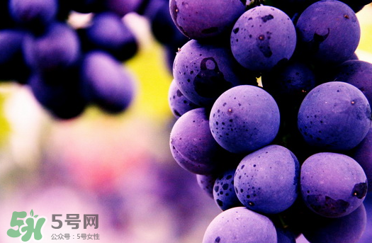 夏黑葡萄多少錢一斤？夏黑葡萄怎么挑選？