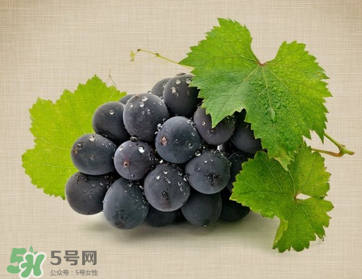 夏黑葡萄多少錢一斤？夏黑葡萄怎么挑選？