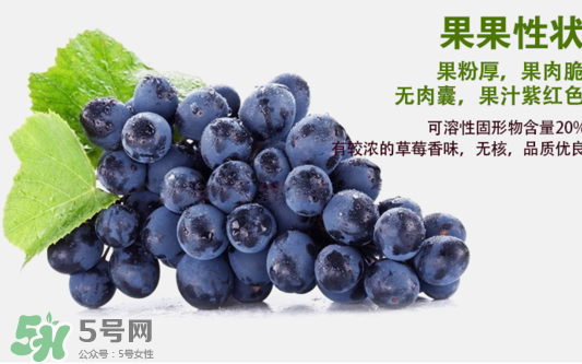 夏黑葡萄怎么洗？夏黑葡萄怎么洗才干凈？