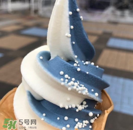 鯨鯊冰淇淋好吃嗎？鯨鯊冰淇淋多少錢？
