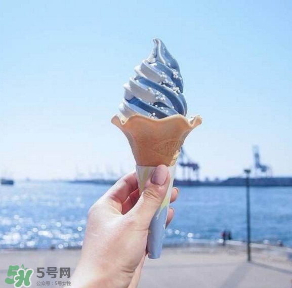 鯨鯊冰淇淋好吃嗎？鯨鯊冰淇淋多少錢？