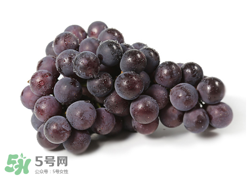 巨峰和夏黑哪個好吃？哪個貴？有什么區(qū)別？
