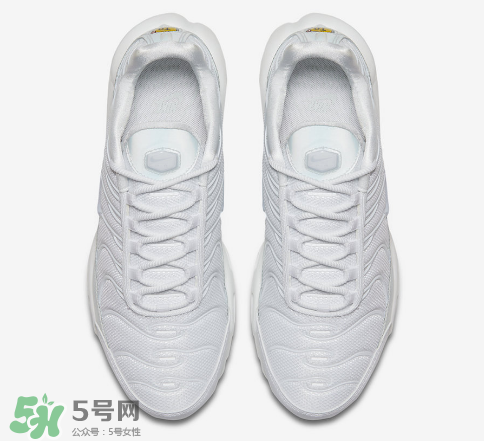 nike air max plus ice blue多少錢？耐克氣墊plus冰藍(lán)配色價(jià)格