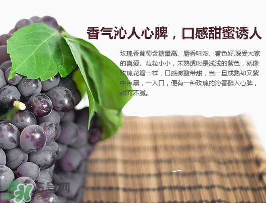 玫瑰香葡萄孕婦能吃嗎？孕婦可以吃玫瑰香葡萄嗎？