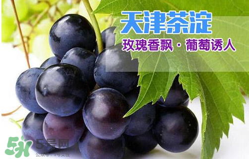 玫瑰香葡萄多少錢一斤？玫瑰香葡萄多少錢一斤2017？
