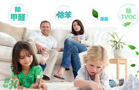 甲醛0.3可以入住嗎？空氣凈化器能除甲醛嗎