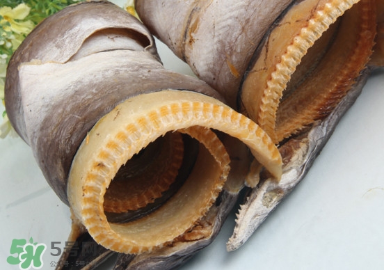 鰻魚干怎么保存最好？鰻魚干如何保存時間久