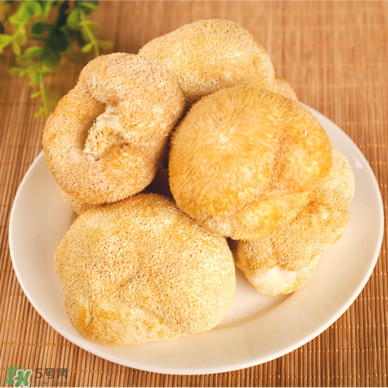 猴頭菇怎樣吃治胃??？猴頭菇能治胃病嗎？