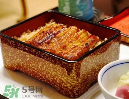 鰻魚飯熱量高嗎？鰻魚飯的熱量有多高