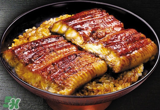 鰻魚飯熱量高嗎？鰻魚飯的熱量有多高