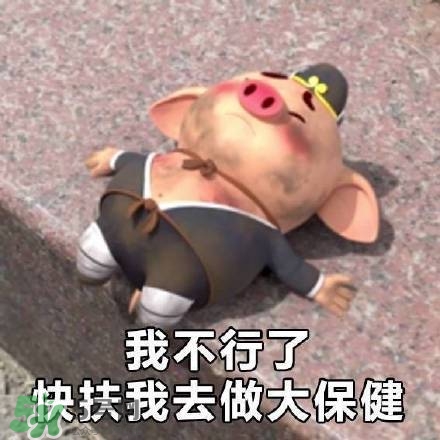 豬小屁表情包是什么？豬小屁表情包為什么這么火？