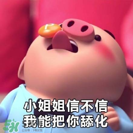 豬小屁表情包是什么？豬小屁表情包為什么這么火？