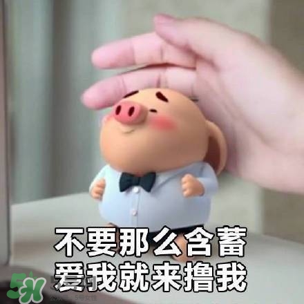 豬小屁表情包是什么？豬小屁表情包為什么這么火？