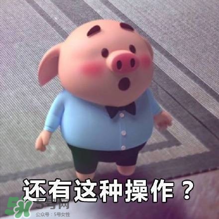 豬小屁表情包是什么？豬小屁表情包為什么這么火？