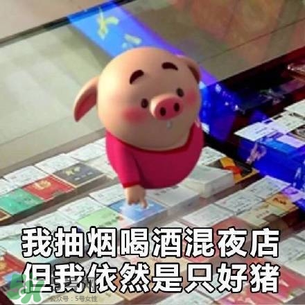 豬小屁表情包是什么？豬小屁表情包為什么這么火？