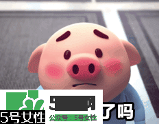豬小屁多少錢(qián)一個(gè)？豬小屁哪里可以買(mǎi)到