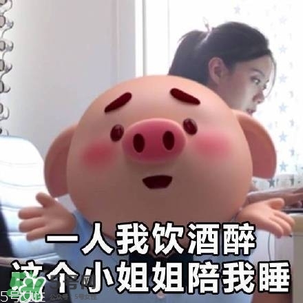 豬小屁多少錢(qián)一個(gè)？豬小屁哪里可以買(mǎi)到