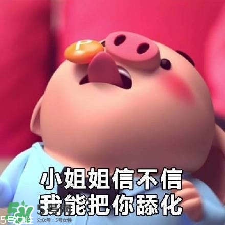 豬小屁多少錢(qián)一個(gè)？豬小屁哪里可以買(mǎi)到