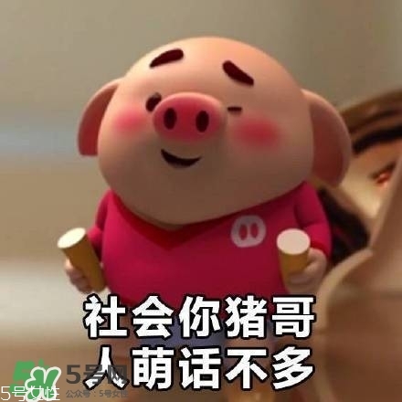豬小屁多少錢(qián)一個(gè)？豬小屁哪里可以買(mǎi)到
