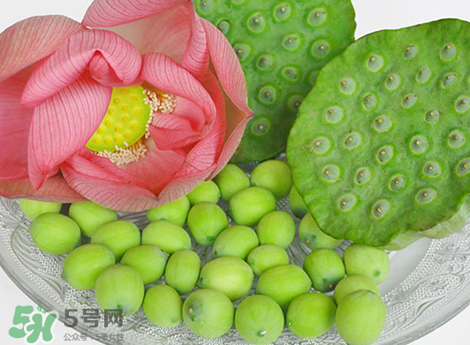 蓮蓬是水果嗎？蓮蓬是水果還是蔬菜？