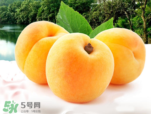 黃桃是酸性還是堿性？黃桃罐頭是酸性還是堿性？