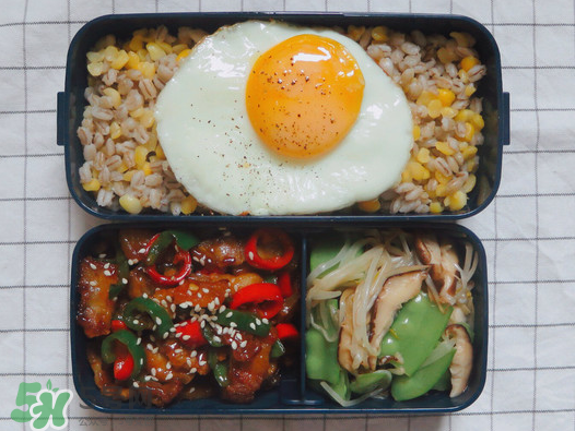 夏天用保溫盒帶飯會壞嗎？夏天能用保溫盒帶飯嗎？