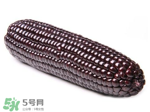 紫玉米會掉色嗎？紫玉米怎么會掉色？