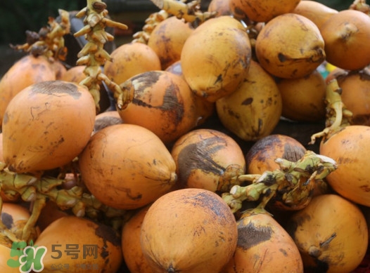椰子什么時(shí)候成熟？椰子什么時(shí)候吃最好