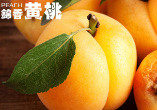 黃桃和香蕉能一起吃嗎？ 香蕉可以和黃桃一起吃嗎？