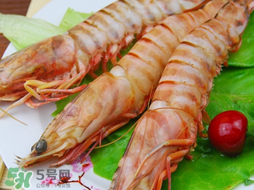 活的斑節(jié)蝦多少錢一斤？野生斑節(jié)蝦多少錢一斤