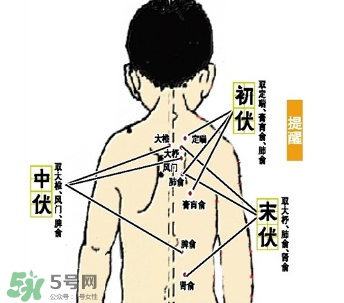 三九灸和三伏灸有什么區(qū)別？做完三伏灸要注意什么？