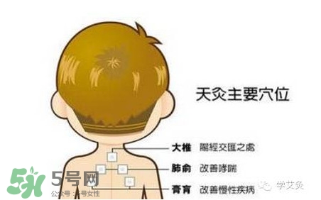 三伏灸灸哪里？三伏灸是每天都灸嗎