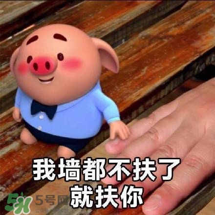 豬小屁表情包是什么？豬小屁表情包為什么這么火？