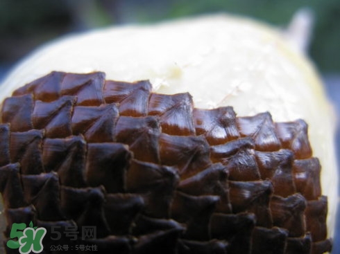 蛇皮果能生吃嗎？蛇皮果能放冰箱嗎？
