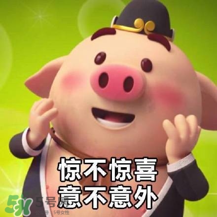 豬小屁表情包是什么？豬小屁表情包為什么這么火？