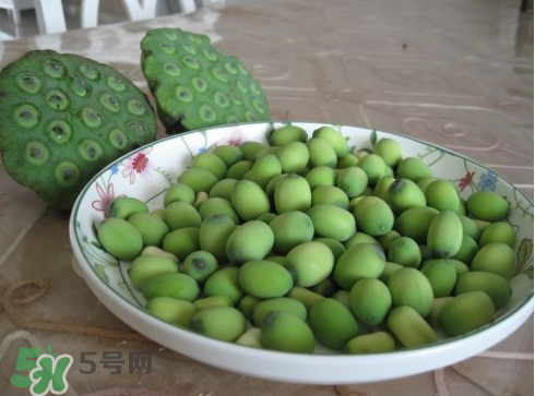 新鮮蓮子多少錢一斤？新鮮蓮子哪里有賣？