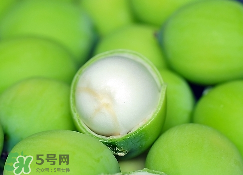 新鮮蓮子多少錢一斤？新鮮蓮子哪里有賣？