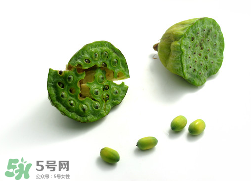 新鮮蓮子可以直接吃嗎？生蓮子可以直接吃嗎？