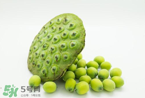 新鮮蓮子可以直接吃嗎？生蓮子可以直接吃嗎？