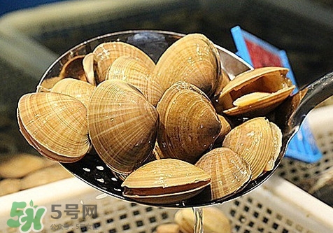 黃蜆子和花蜆子哪個(gè)好？黃蜆子和花蜆子的區(qū)別