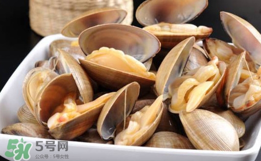 黃蜆子多少錢一斤？河蜆子多少錢一斤