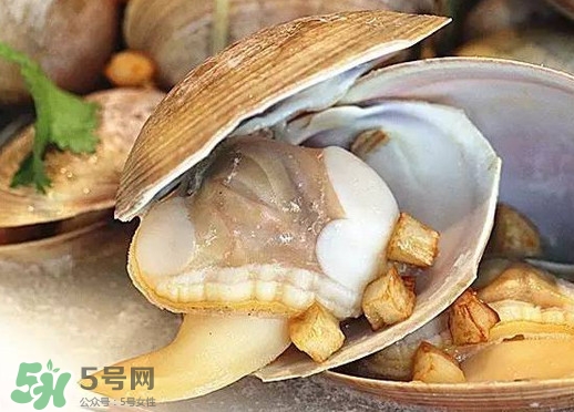 蒸蜆子多長時間？黃蜆子蒸多久能熟？