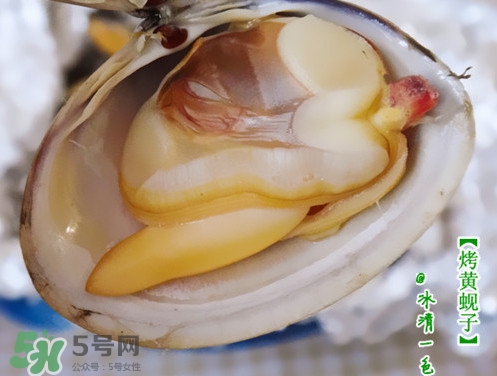 蜆子什么樣的是活的？蜆子開(kāi)口是死還是活