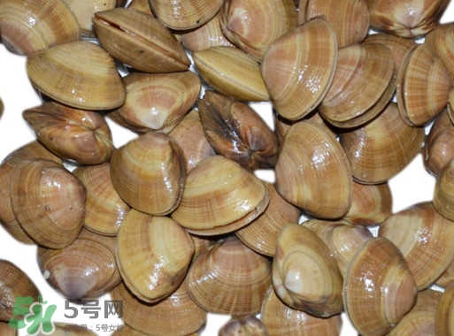 蜆子是花甲嗎？蜆子是海鮮嗎？